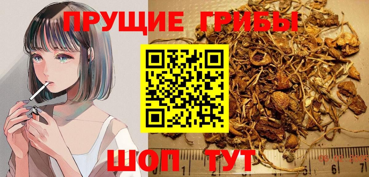 Ртищево  Псилоцибиновые грибы Psilocybine cubensis  Вход с VPN  закладка  Псилоцибиновые грибы Cubensis 